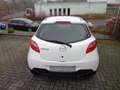 Mazda 2 1.3 Independence Sport (3-trg.) Klima Weiß - thumbnail 4