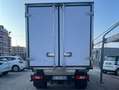 Ford Transit 350 2.0 tdci 170cv ISOTERMICO CON FRIGORIFERO Biały - thumbnail 15