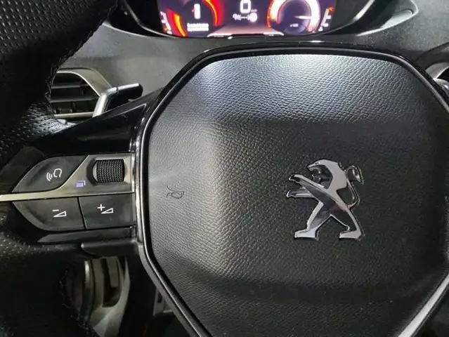 Peugeot 3008 view 19