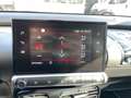 Citroen C4 Cactus C4 Cactus PureTech 110 S Weiß - thumbnail 12