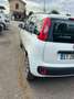 Fiat Panda 0.9 t.air t. natural power Easy 80cv - thumbnail 3