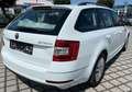 Skoda Octavia Combi Active 1-Hd.|Standhzg. Bianco - thumbnail 7