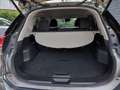 Nissan X-Trail 1.6 dCi 2WD N-Connecta AUTOMATICA - GARANZIA - thumbnail 6