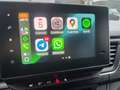 Renault Trafic Combi L2H1 3,0t Evolution LED/Key/Kam/8S Gris - thumbnail 20