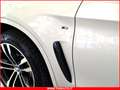 BMW X6 M 50 D 3.0 Lim. Edit. 50Th (TETTO APRIBILE+360) Grau - thumbnail 33