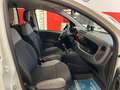 Fiat Panda Van 1.0 70cv Hybrid Euro 6D-TEMP Bianco - thumbnail 11