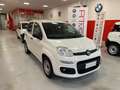 Fiat Panda Van 1.0 70cv Hybrid Euro 6D-TEMP Bianco - thumbnail 4