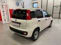 Fiat Panda Van 1.0 70cv Hybrid Euro 6D-TEMP Bianco - thumbnail 5