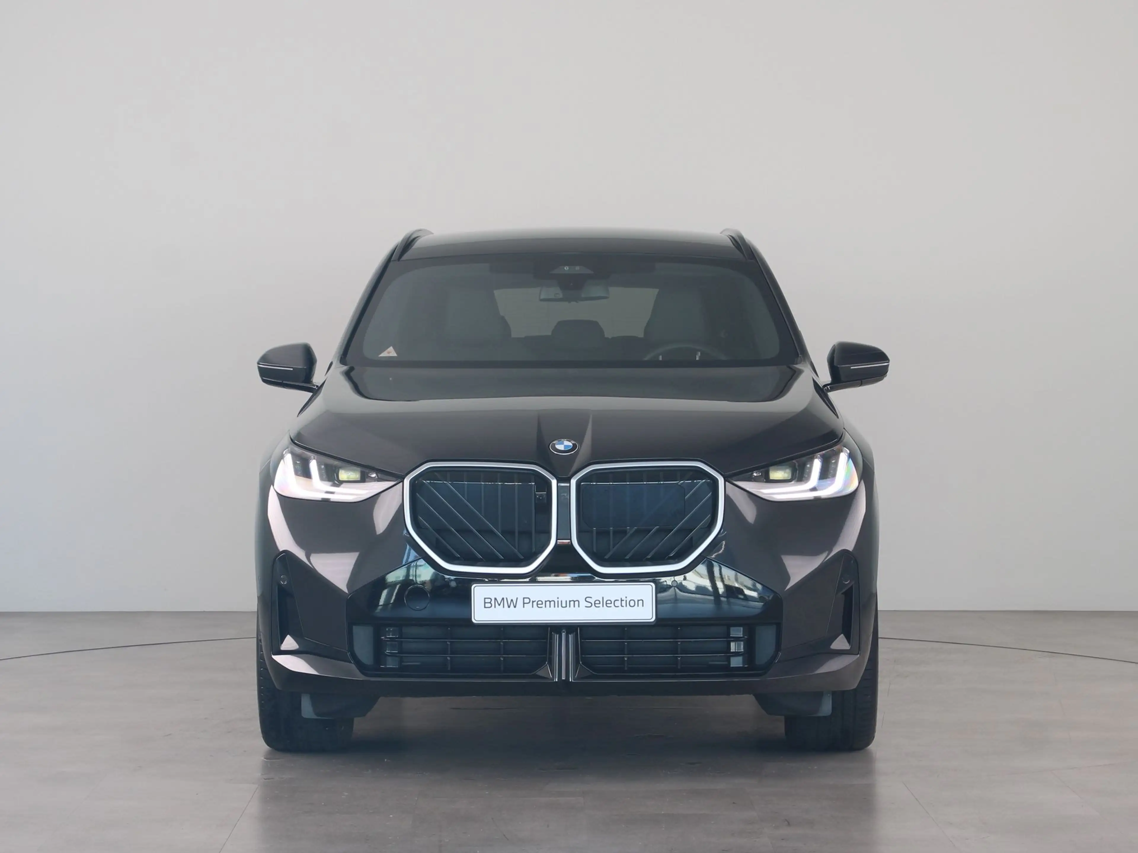 BMW X3 30e xDrive SoH 100% — photo 8