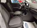 Ford Puma 1.5 EcoBlue 120 CV S&S Titanium X Сірий - thumbnail 9