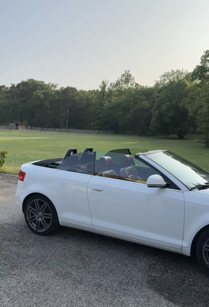 Audi A3 Cabriolet 2.0 TDI Full optional Blanc - 2
