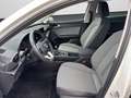 SEAT Leon Sportstourer Style Edition 1.5 TSI CARPLAY Weiß - thumbnail 12