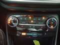 Ford Puma 1.0 MHEV TITANIUM *WinterPK*Kamera*AHK* Blau - thumbnail 15