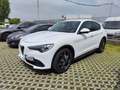 Alfa Romeo Stelvio Stelvio 2020 2.2 t Business rwd 160cv auto Blanc - thumbnail 1