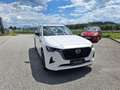Mazda CX-60 3.3L AWD HOMURA PLUS Weiß - thumbnail 4