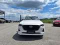 Mazda CX-60 3.3L AWD HOMURA PLUS Weiß - thumbnail 3