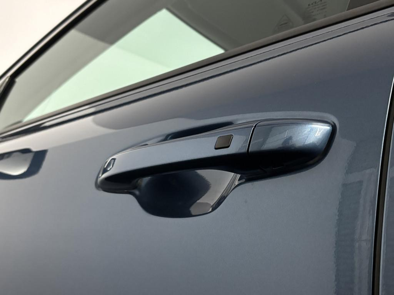 Kia e-Niro EV Plus Advanced 64.8 kWh — photo 16