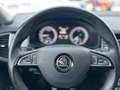 Skoda Kodiaq Scout 2,0 TDI 4x4 DSG Blau - thumbnail 13