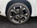 CUPRA Ateca 2.0 TSI 4Drive DSG*PANO*ACC*DCC*NAVI*360° Wit - thumbnail 21