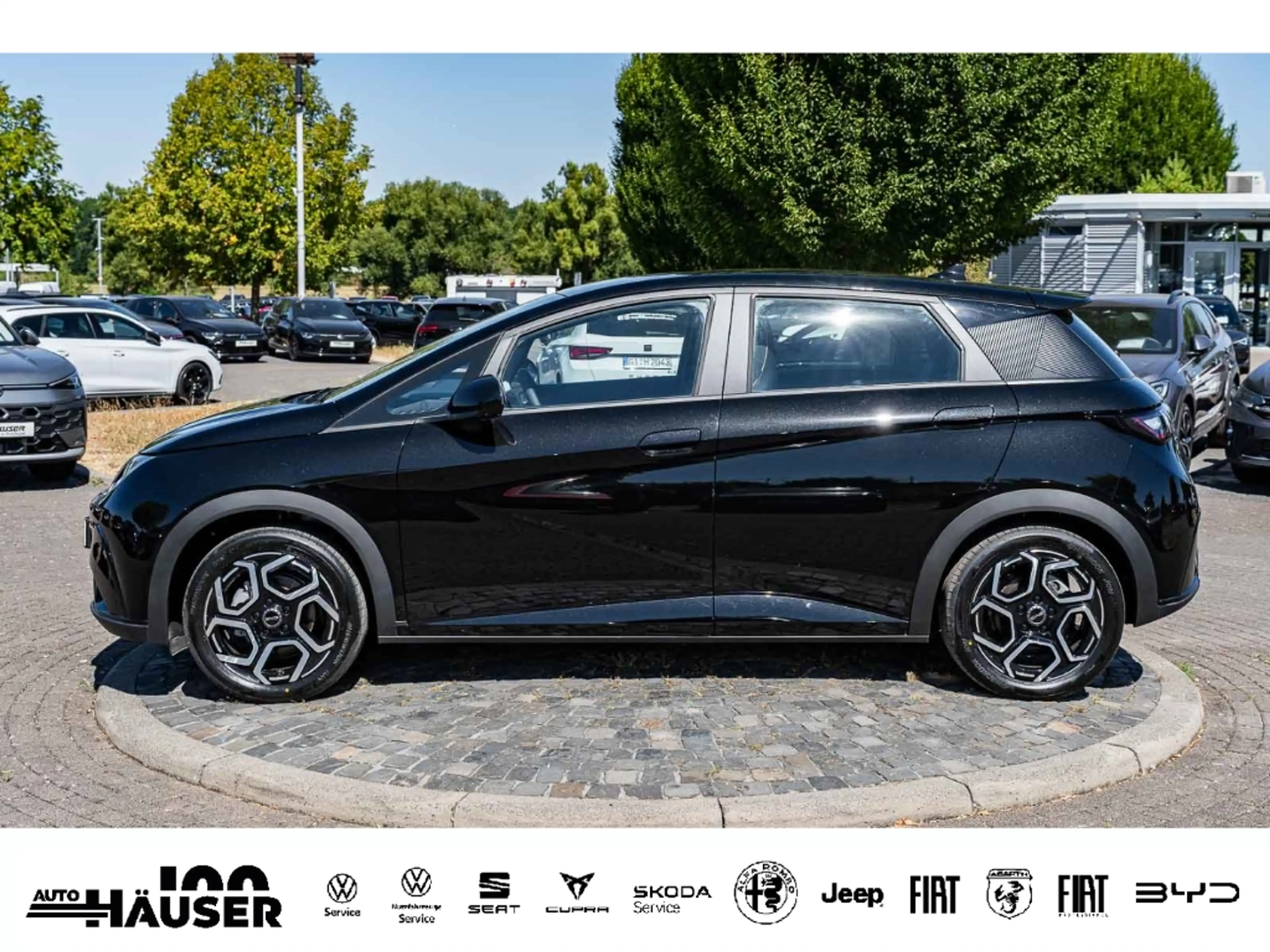 BYD Dolphin COMFORT 60,4 kWh EL. SITZE 360-KAMERA ACC LED — photo 3