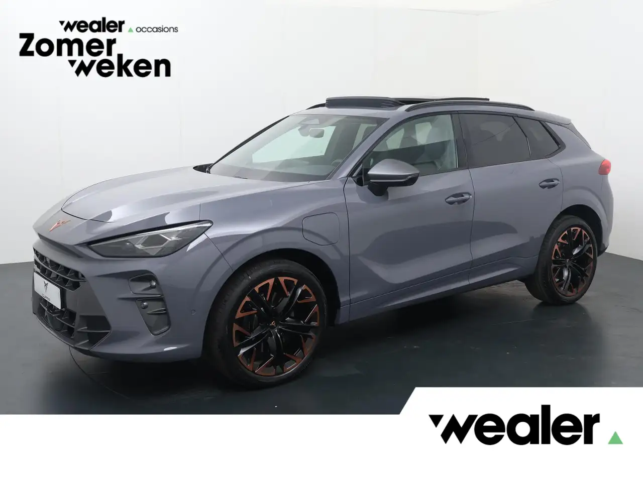 Cupra Terramar