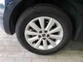 SEAT Ibiza 1.0 TSI Style+LED+SHZ+CLIMATRONIC+DSG+PDC Grün - thumbnail 5