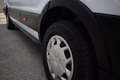 Ford Transit Trend Blanco - thumbnail 38