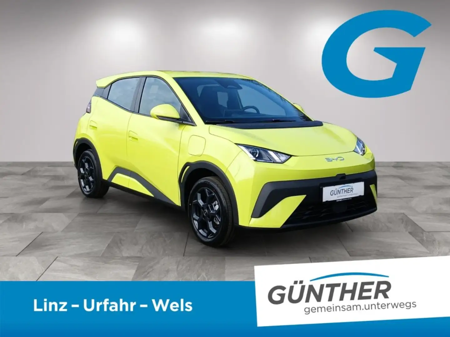 BYD Dolphin Surf Boost Grün - 2