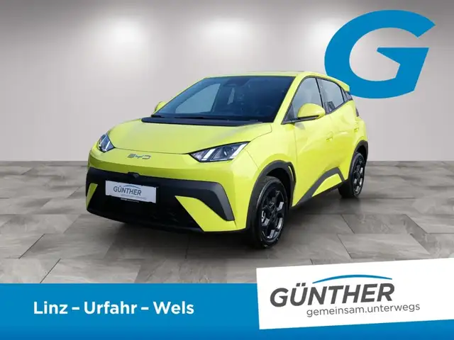 BYD Dolphin Surf Boost