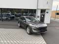 Ford Kuga Kuga 2,5 Duratec Plugin Hybrid Benzin AHK NAVI etc Grau - thumbnail 1
