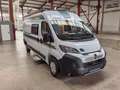 Chausson V594 FIRST LINE LIGHT / -MODELL 2026- / 140 PS Blanc - thumbnail 10
