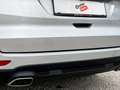 Ford S-Max Titanium 2.0 EcoBlue SCR AWD Aut. MEGAPREIS Silber - thumbnail 25