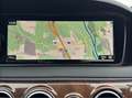 Mercedes-Benz S 350 BlueTEC 4Matic Aut. Grau - thumbnail 31