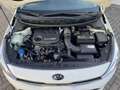Kia Rio 1.0 TGDI DynamicLine Camera Carplay Cruise Navigat Wit - thumbnail 42
