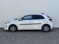 Kia Rio 1.0 TGDI DynamicLine Camera Carplay Cruise Navigat Wit - thumbnail 14