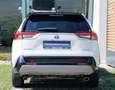 Toyota RAV4 RAV4 2,5 Hybrid City AWD Styly+DAP+WP+SV Weiß - thumbnail 4