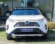 Toyota RAV4 RAV4 2,5 Hybrid City AWD Styly+DAP+WP+SV Weiß - thumbnail 2