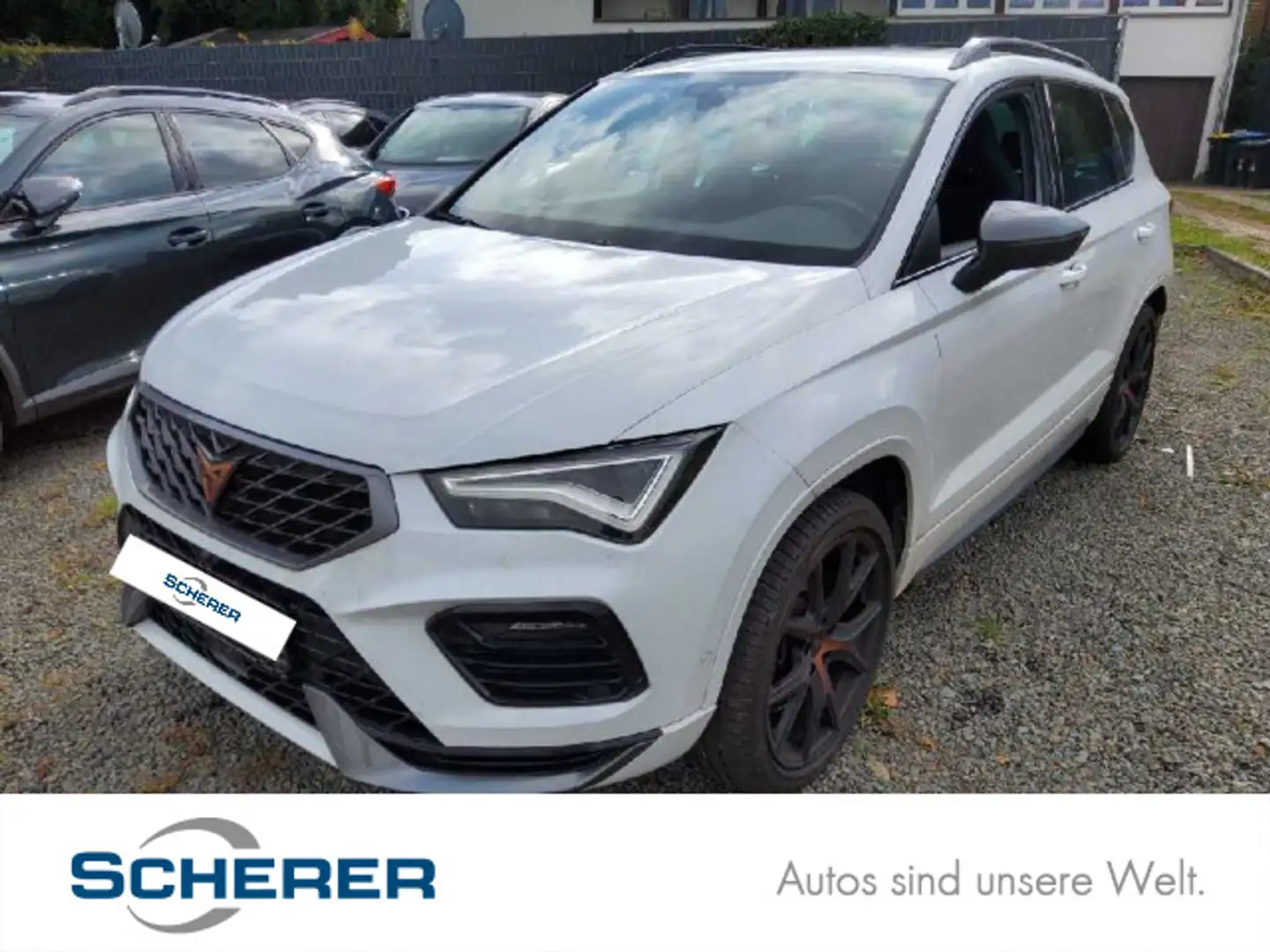 CUPRA Ateca 2.0 TSI DSG 4Drive Pano ACC Navi Beats SHZ Weiß - 1