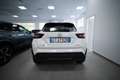Nissan Juke NEW MC24 N-CONNECTA AMT Bianco - thumbnail 4