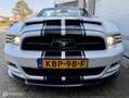 Ford Mustang USA 3.7 V6 Weiß - thumbnail 16