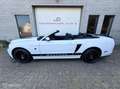 Ford Mustang USA 3.7 V6 Weiß - thumbnail 4