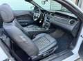 Ford Mustang USA 3.7 V6 Weiß - thumbnail 11