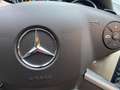 Mercedes-Benz R 350 R 350 CDI BlueTEC L 4-Matic Blau - thumbnail 39