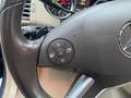 Mercedes-Benz R 350 R 350 CDI BlueTEC L 4-Matic Blau - thumbnail 29