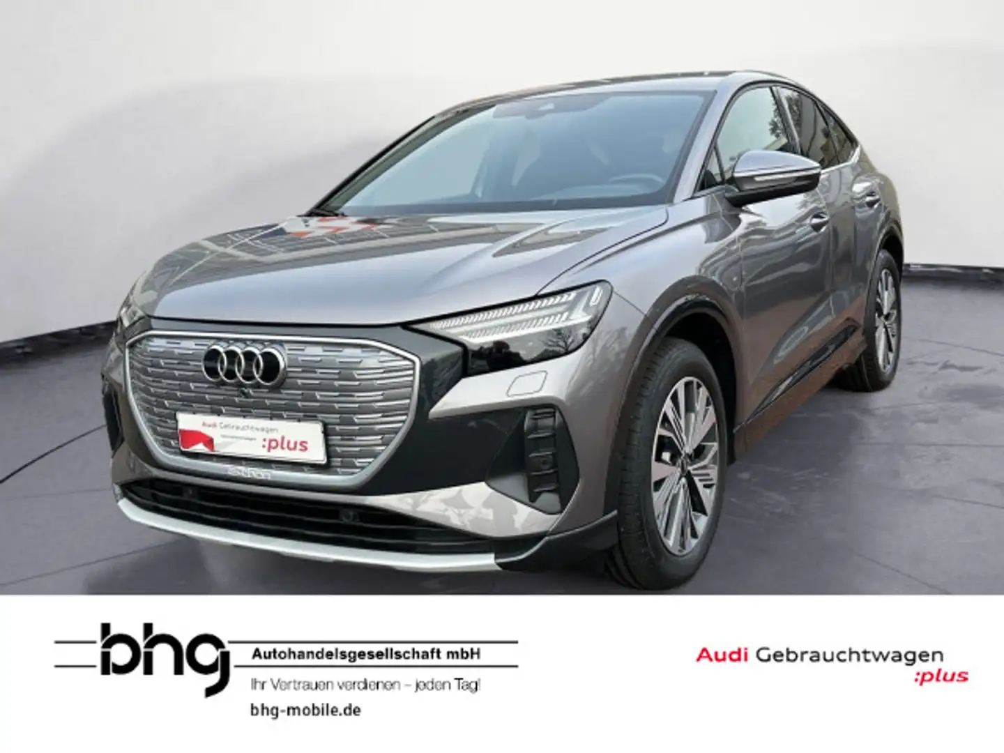 Audi Q4 e-tron 50 quattro Matrix/AHK/Head-u Grau - 1