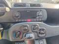 Fiat Panda Panda III 1.2 Easy s Rot - thumbnail 14