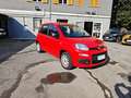 Fiat Panda Panda III 1.2 Easy s Rot - thumbnail 4