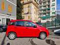 Fiat Panda Panda III 1.2 Easy s Rot - thumbnail 5