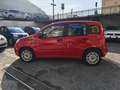 Fiat Panda Panda III 1.2 Easy s Rot - thumbnail 9