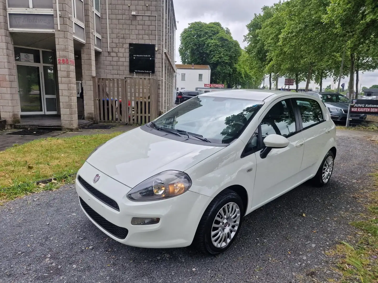 Fiat Punto 1.4. inklusive 12  Monate Garantie/Klima Blanco - 1